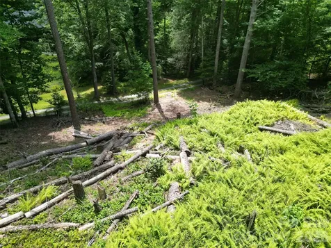 319 Valley Lane Pisgah Forest NC 28768