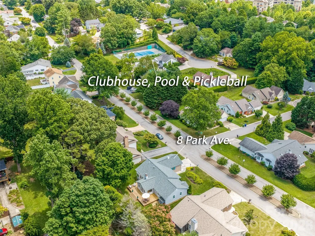 8 Park Avenue Asheville NC 28803