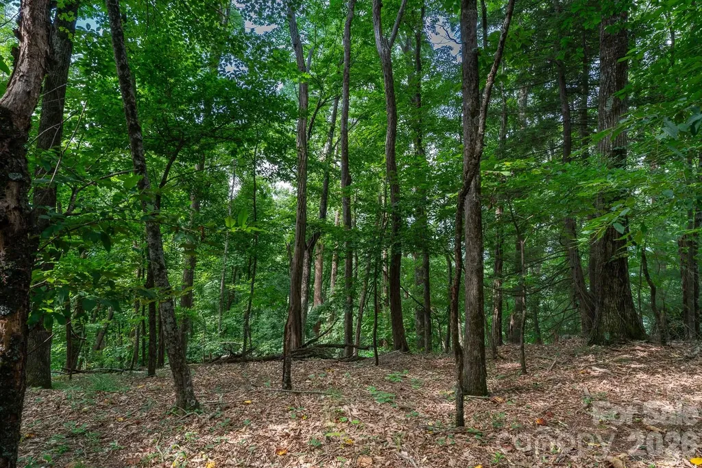 Lot 4 Old Orchard Road Blowing Rock NC 28605