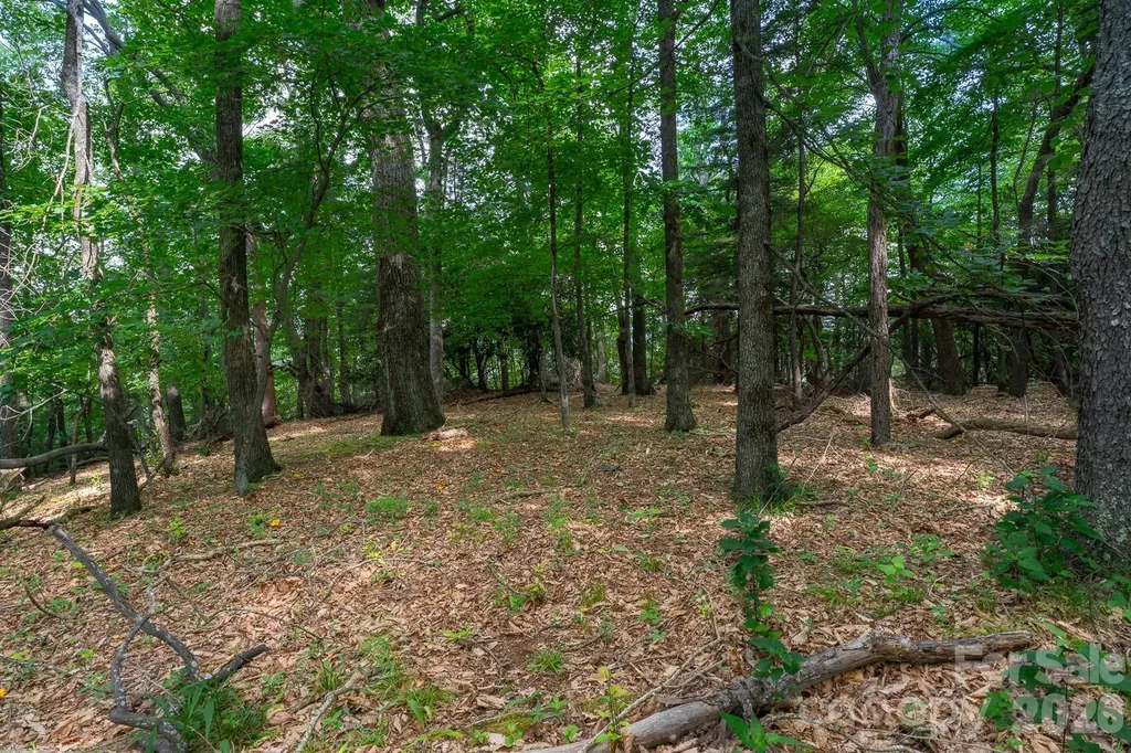 Lot 4 Old Orchard Road Blowing Rock NC 28605