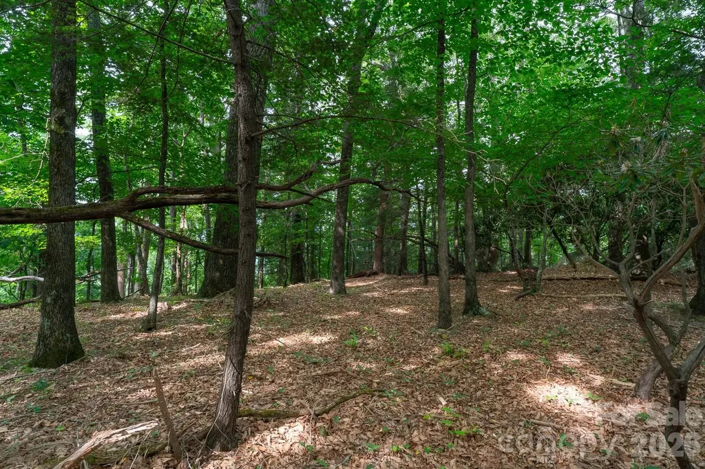 Lot 4 Old Orchard Road Blowing Rock NC 28605
