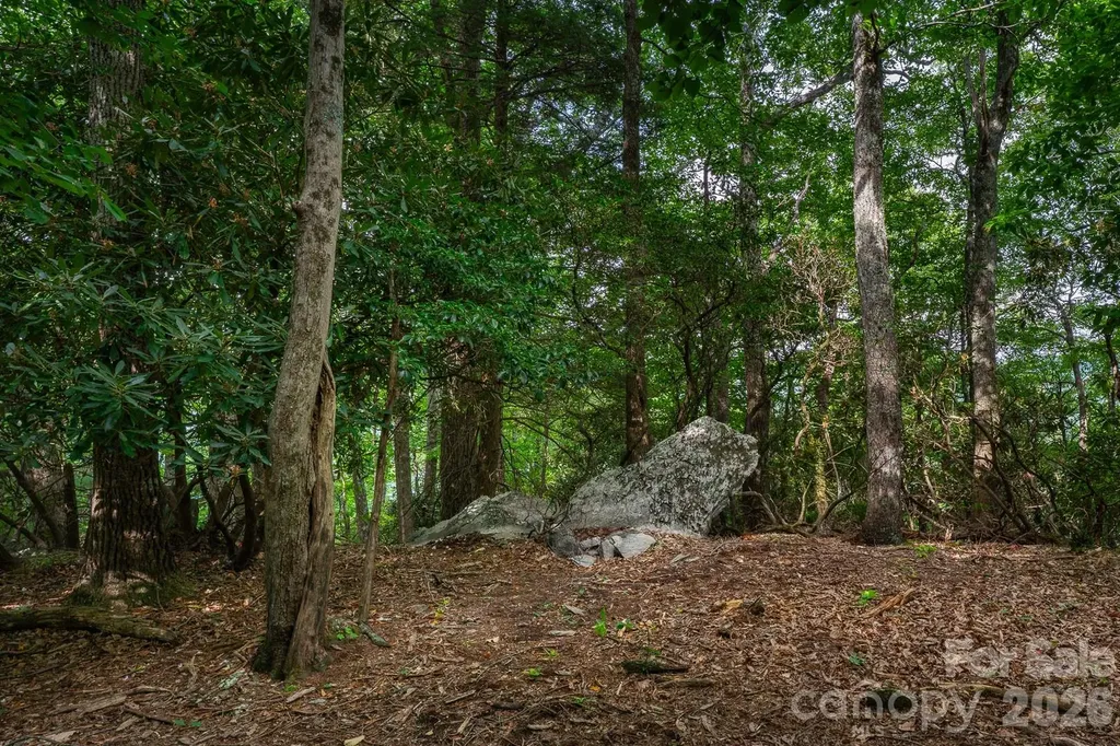 Lot 4 Old Orchard Road Blowing Rock NC 28605