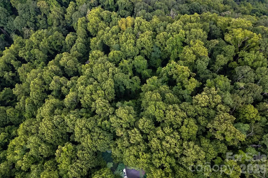 Lot 4 Old Orchard Road Blowing Rock NC 28605