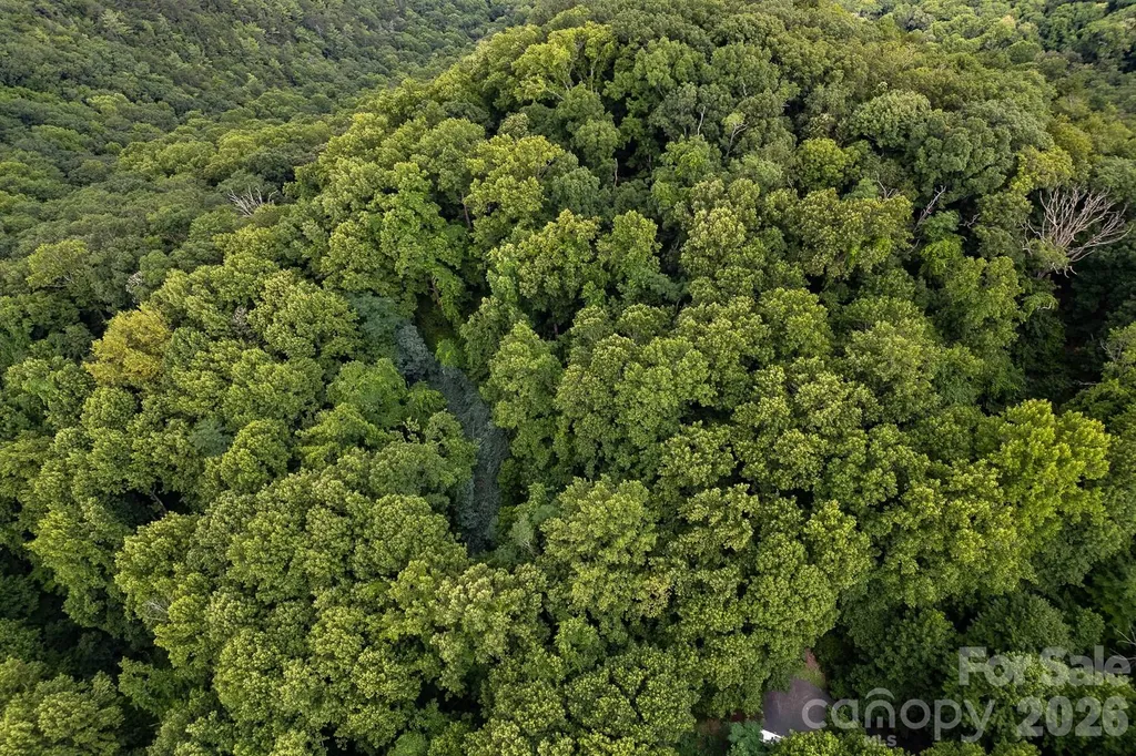Lot 4 Old Orchard Road Blowing Rock NC 28605