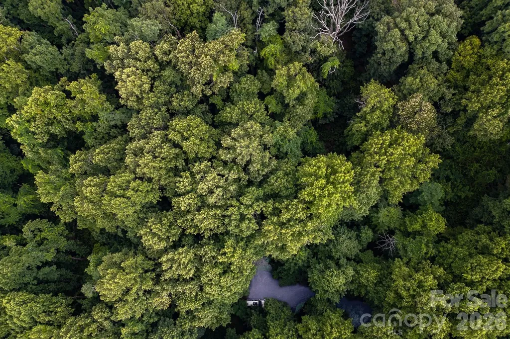 Lot 4 Old Orchard Road Blowing Rock NC 28605