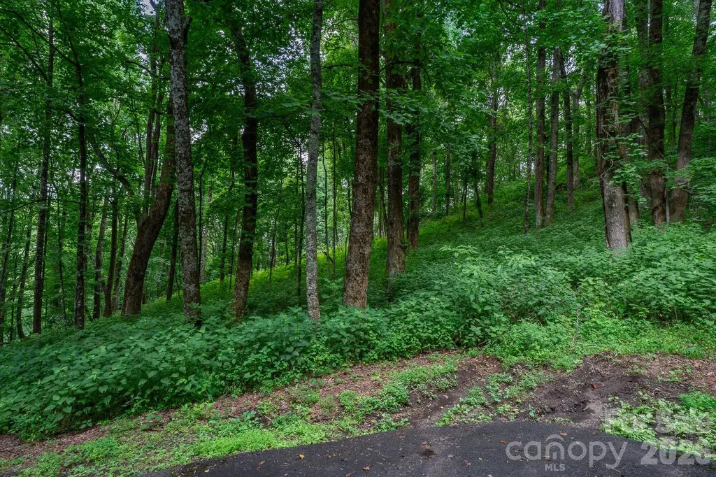 Lot 4 Old Orchard Road Blowing Rock NC 28605