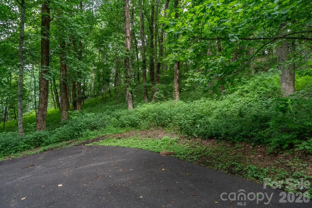 Lot 4 Old Orchard Road Blowing Rock NC 28605