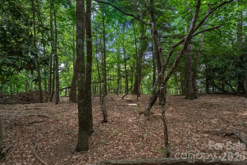 Lot 4 Old Orchard Road Blowing Rock NC 28605