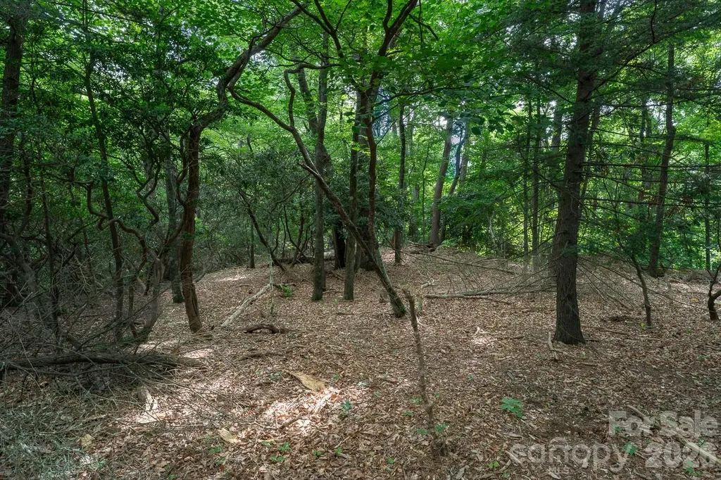 Lot 4 Old Orchard Road Blowing Rock NC 28605