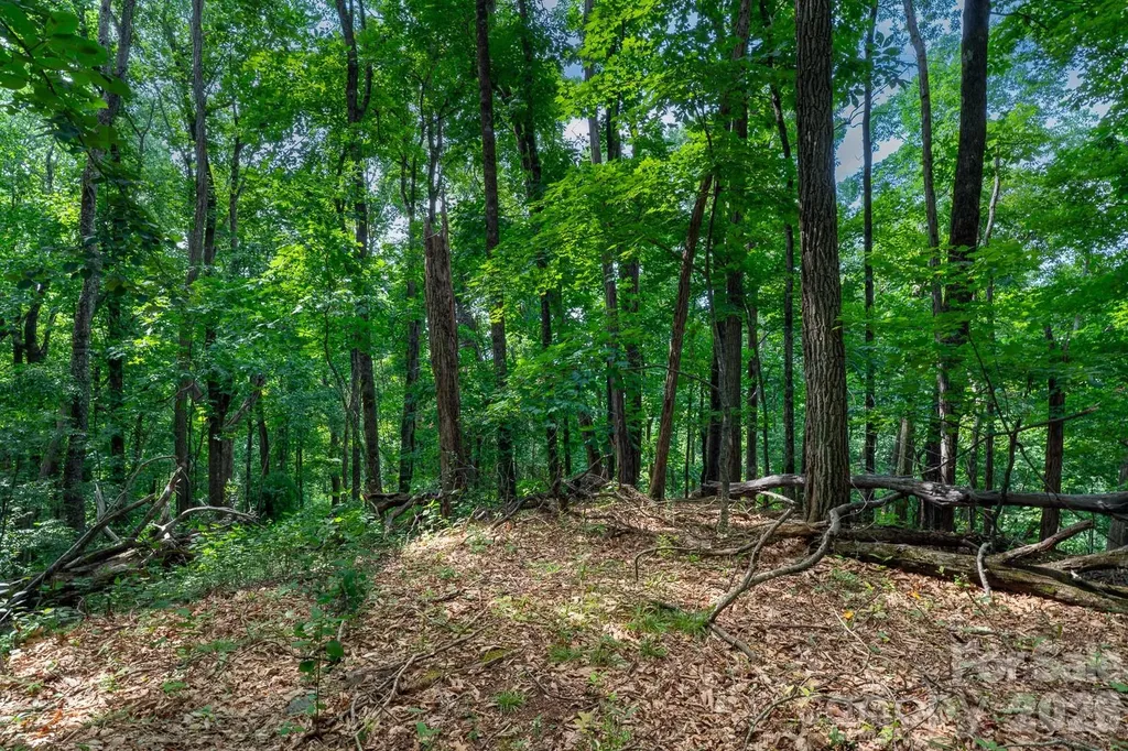 Lot 4 Old Orchard Road Blowing Rock NC 28605