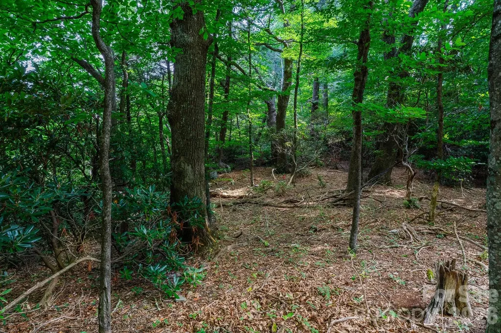 Lot 4 Old Orchard Road Blowing Rock NC 28605