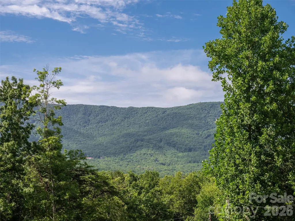 125 Craggy Street Black Mountain NC 28711