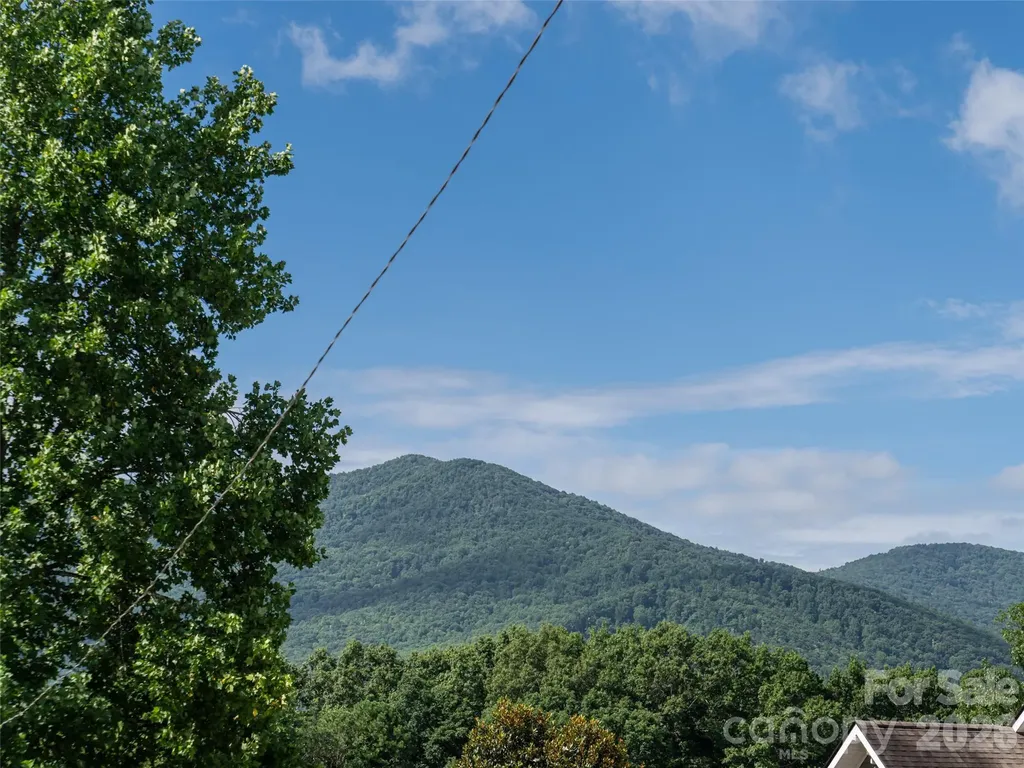 125 Craggy Street Black Mountain NC 28711