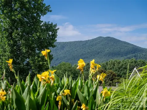 125 Craggy Street Black Mountain NC 28711