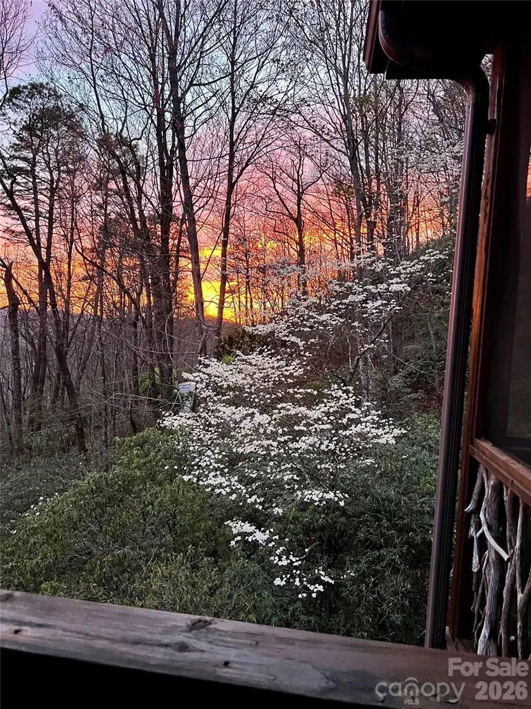 138 Bear Paw Drive Brevard NC 28712