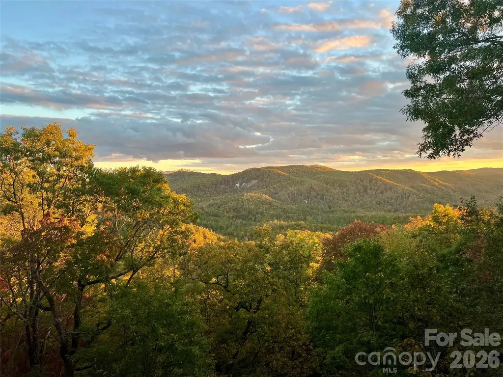 138 Bear Paw Drive Brevard NC 28712
