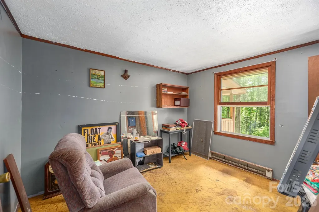 245 Bert Lane Road Brevard NC 28712