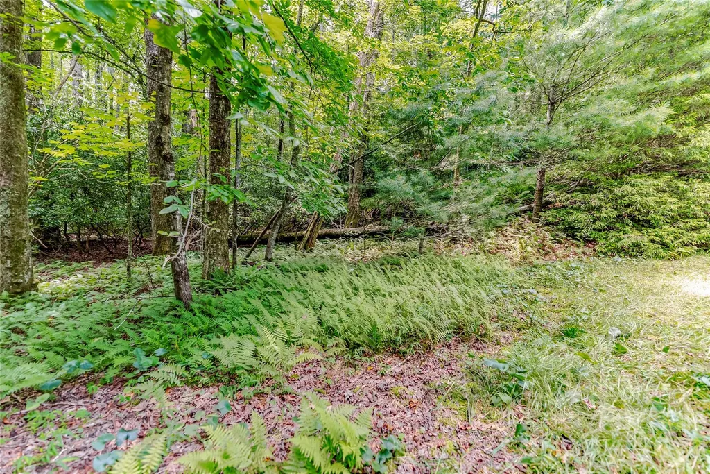 129 Nodatsi Court Brevard NC 28712