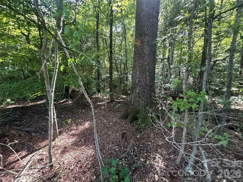 0 Goodson Road Salisbury NC 28147