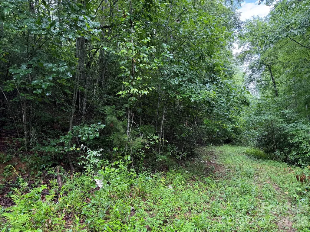 Off Donald Mccall Road Balsam Grove NC 28708