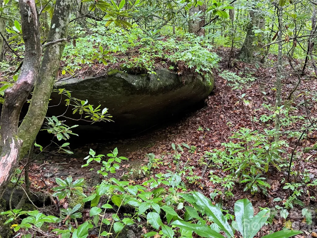 Off Donald Mccall Road Balsam Grove NC 28708