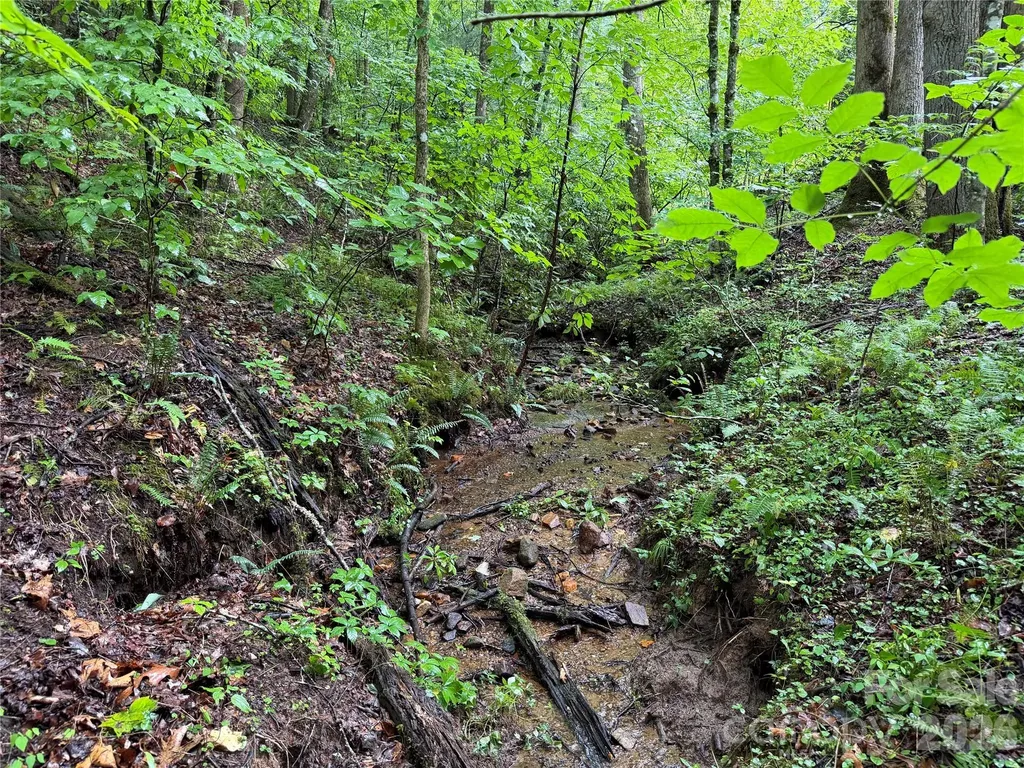 Off Donald Mccall Road Balsam Grove NC 28708