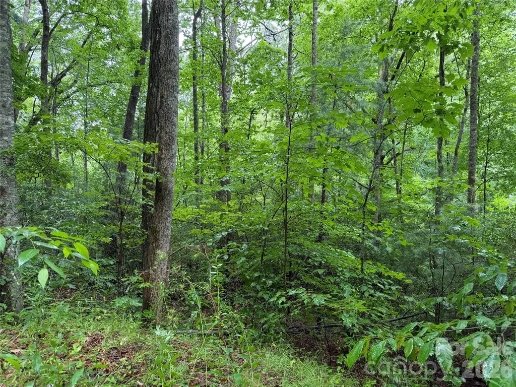 Off Donald Mccall Road Balsam Grove NC 28708