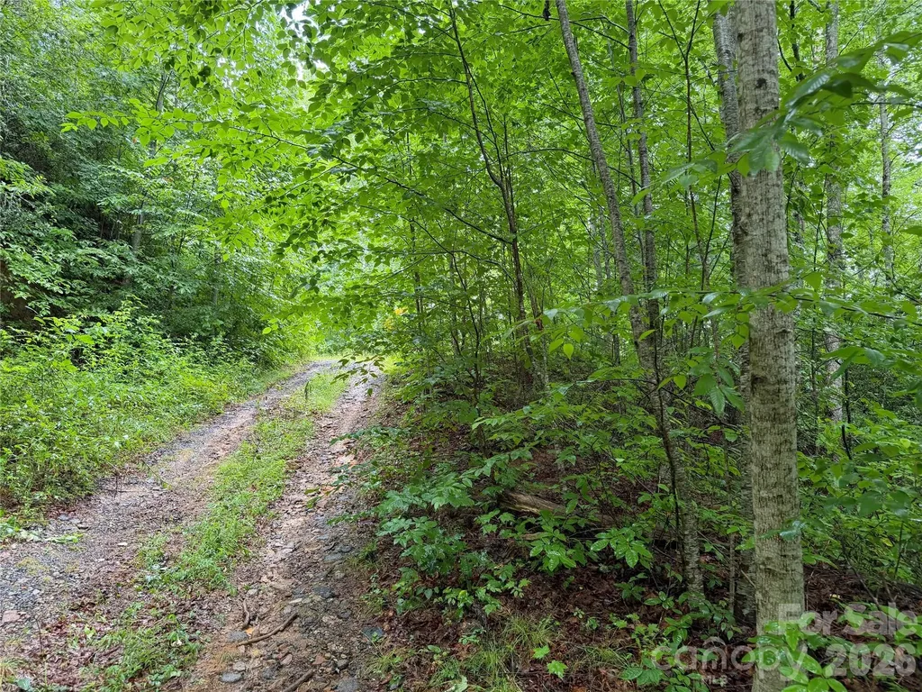 Off Donald Mccall Road Balsam Grove NC 28708