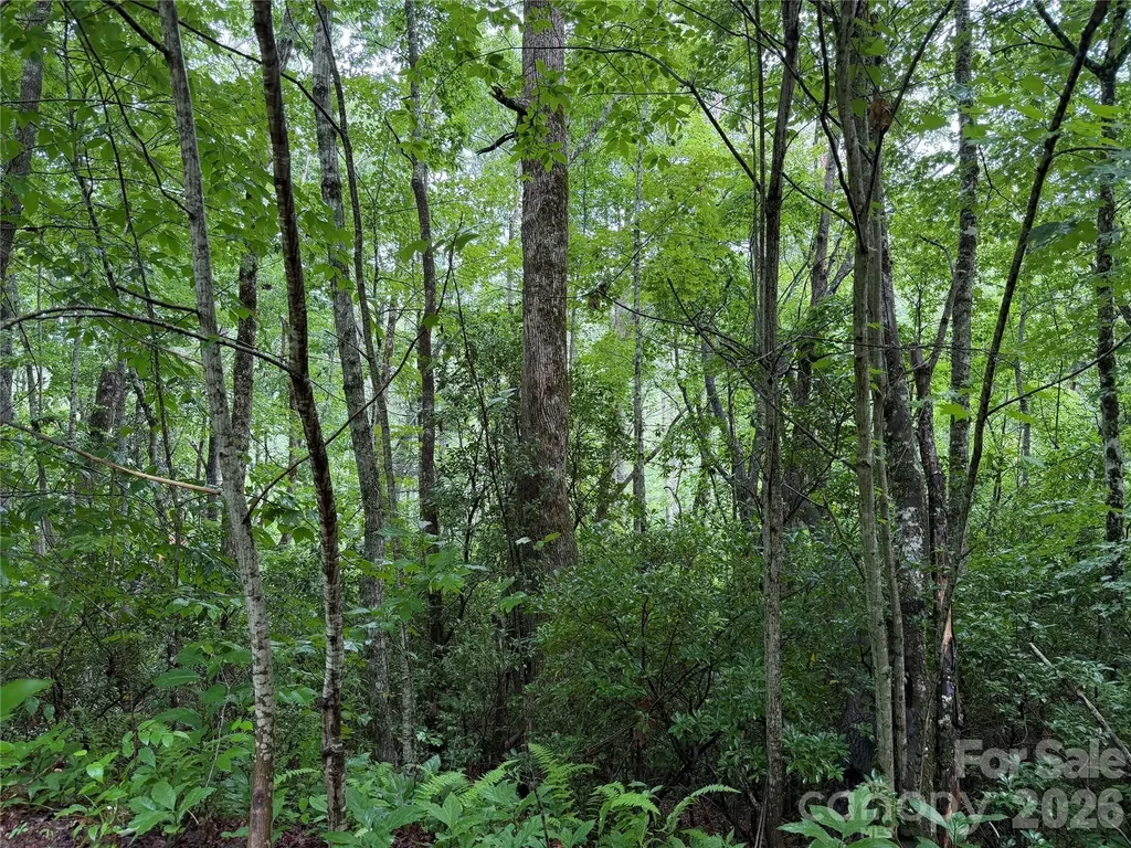Off Donald Mccall Road Balsam Grove NC 28708