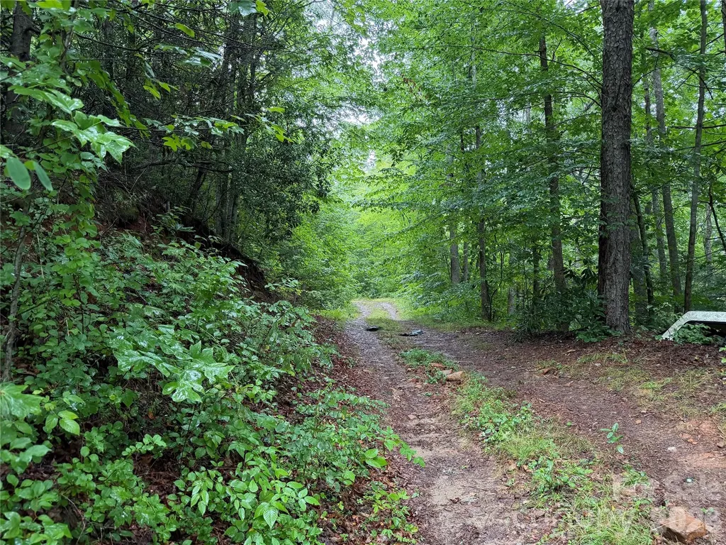Off Donald Mccall Road Balsam Grove NC 28708