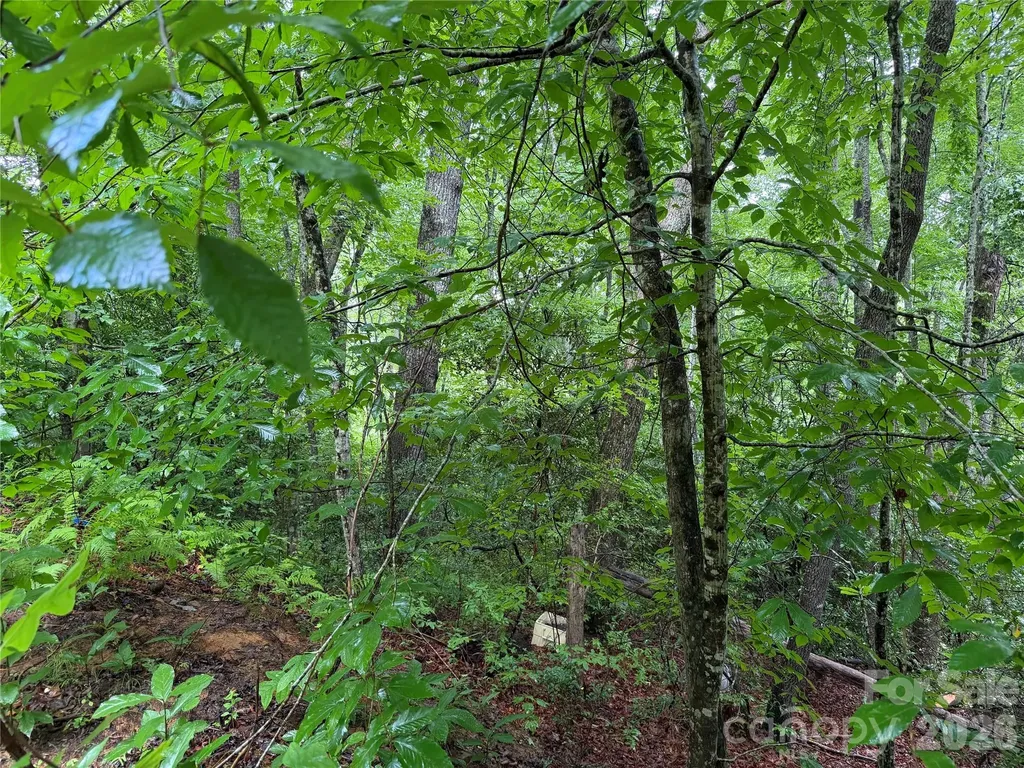 Off Donald Mccall Road Balsam Grove NC 28708