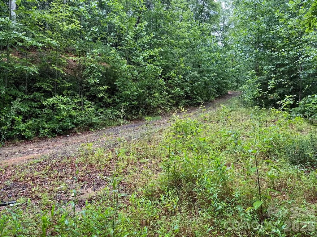 Off Donald Mccall Road Balsam Grove NC 28708