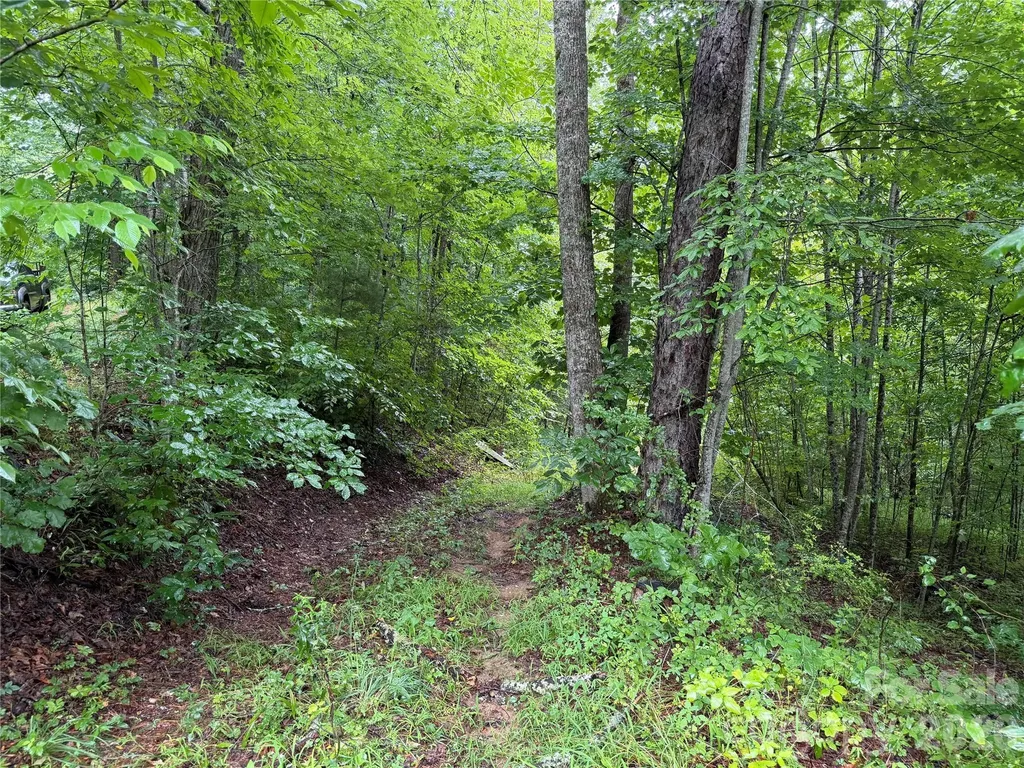 Off Donald Mccall Road Balsam Grove NC 28708