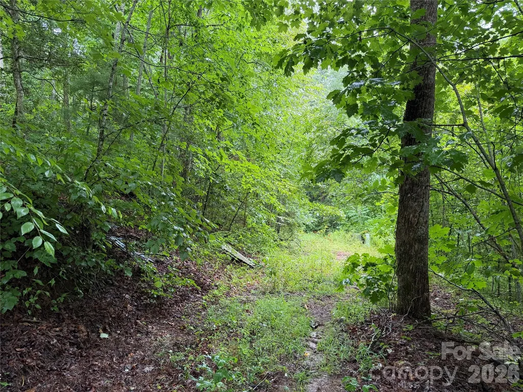 Off Donald Mccall Road Balsam Grove NC 28708