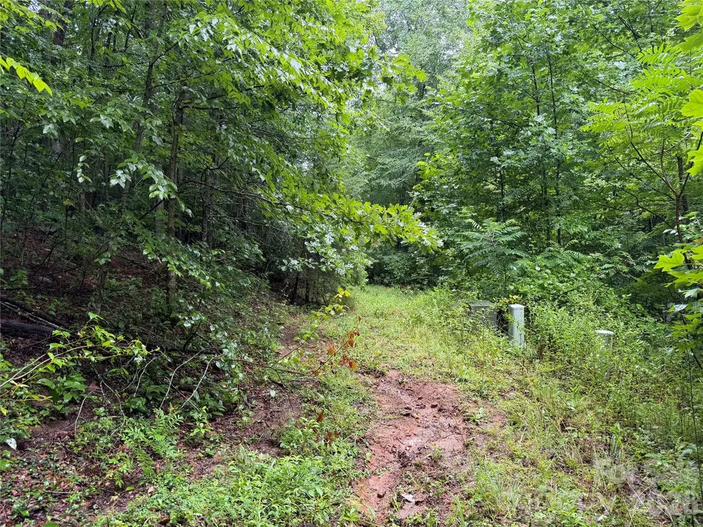 Off Donald Mccall Road Balsam Grove NC 28708