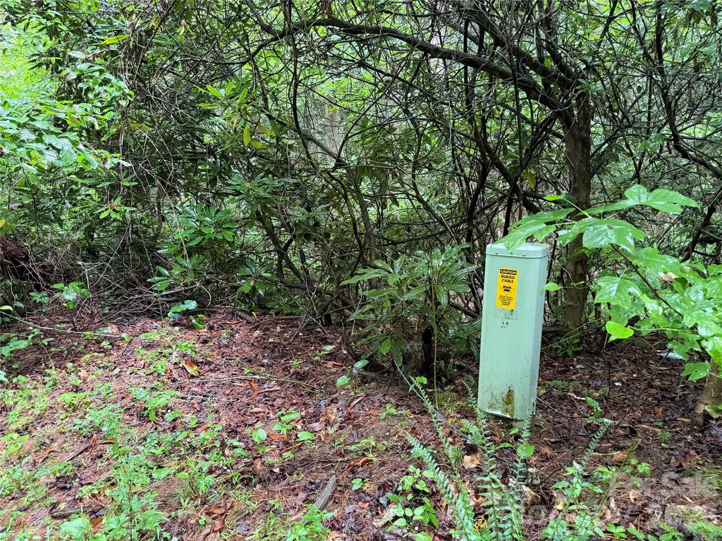 Off Donald Mccall Road Balsam Grove NC 28708
