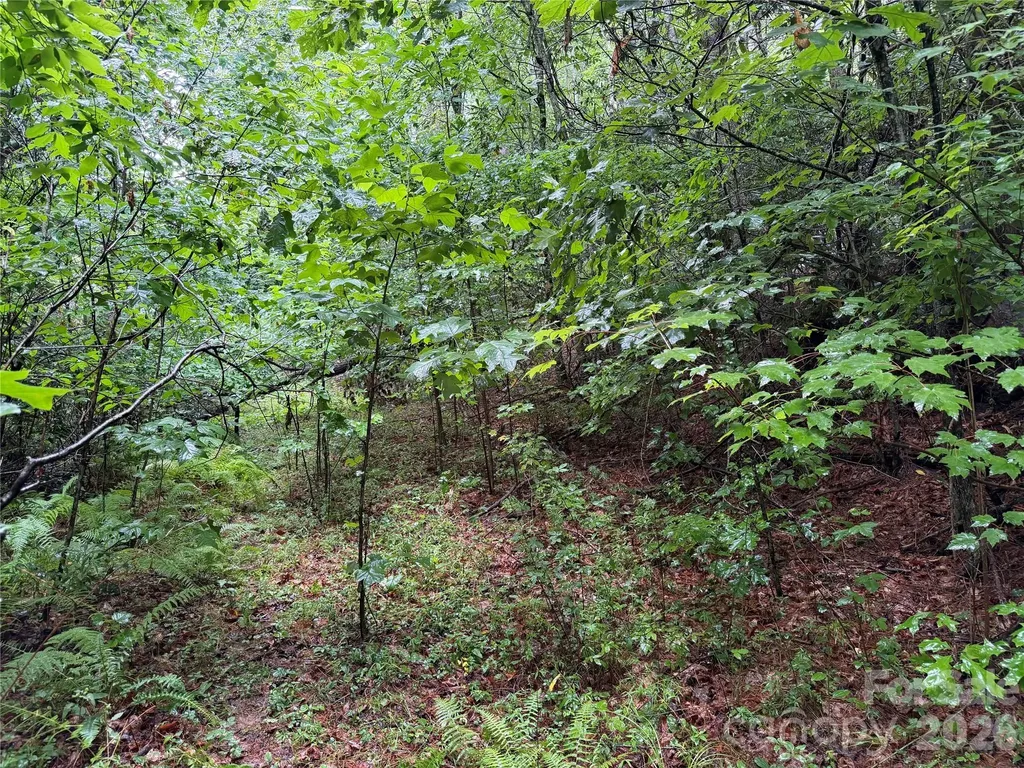 Off Donald Mccall Road Balsam Grove NC 28708