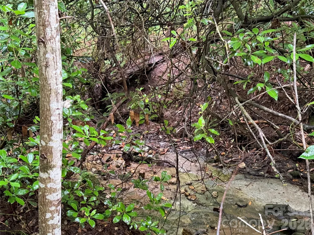 Off Donald Mccall Road Balsam Grove NC 28708