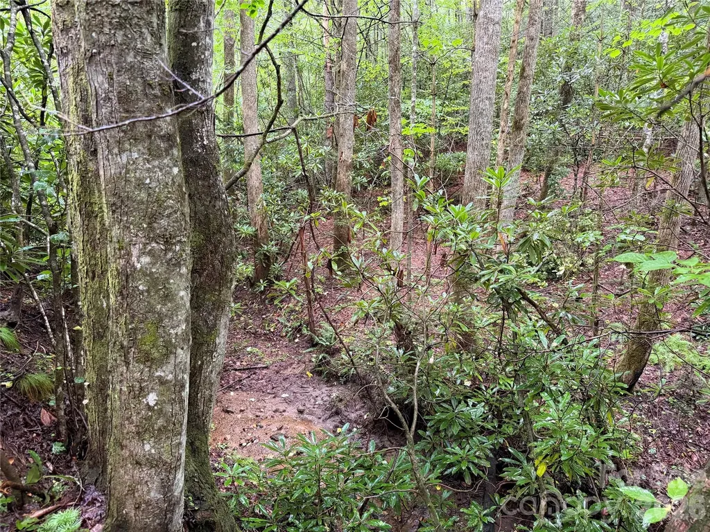 Off Donald Mccall Road Balsam Grove NC 28708