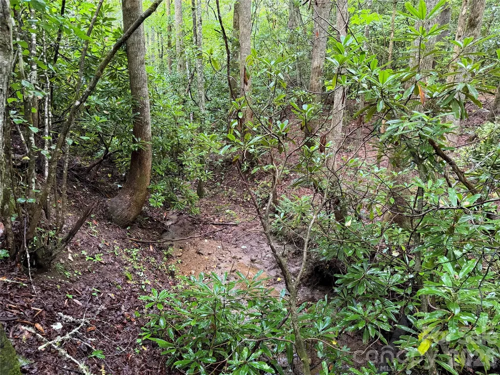 Off Donald Mccall Road Balsam Grove NC 28708
