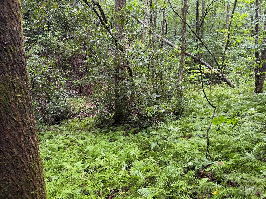 Off Donald Mccall Road Balsam Grove NC 28708