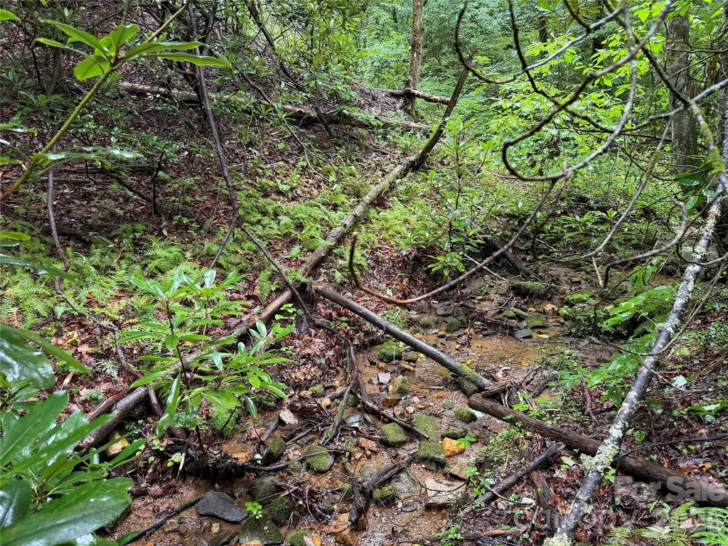 Off Donald Mccall Road Balsam Grove NC 28708