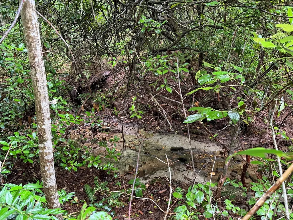Off Donald Mccall Road Balsam Grove NC 28708