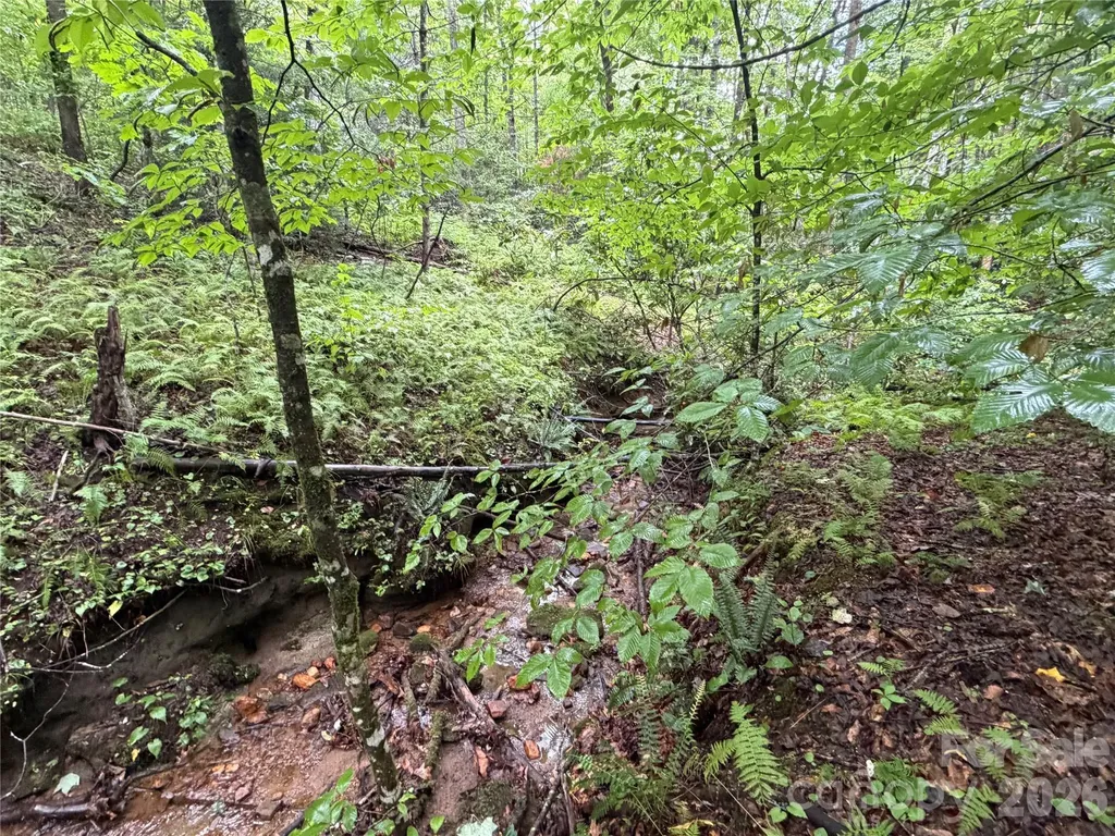 Off Donald Mccall Road Balsam Grove NC 28708