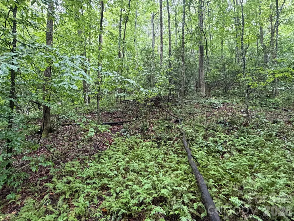 Off Donald Mccall Road Balsam Grove NC 28708