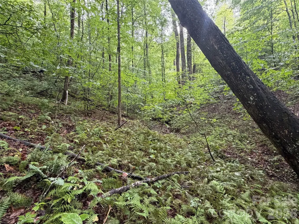 Off Donald Mccall Road Balsam Grove NC 28708