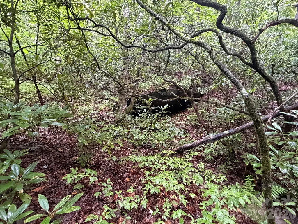 Off Donald Mccall Road Balsam Grove NC 28708