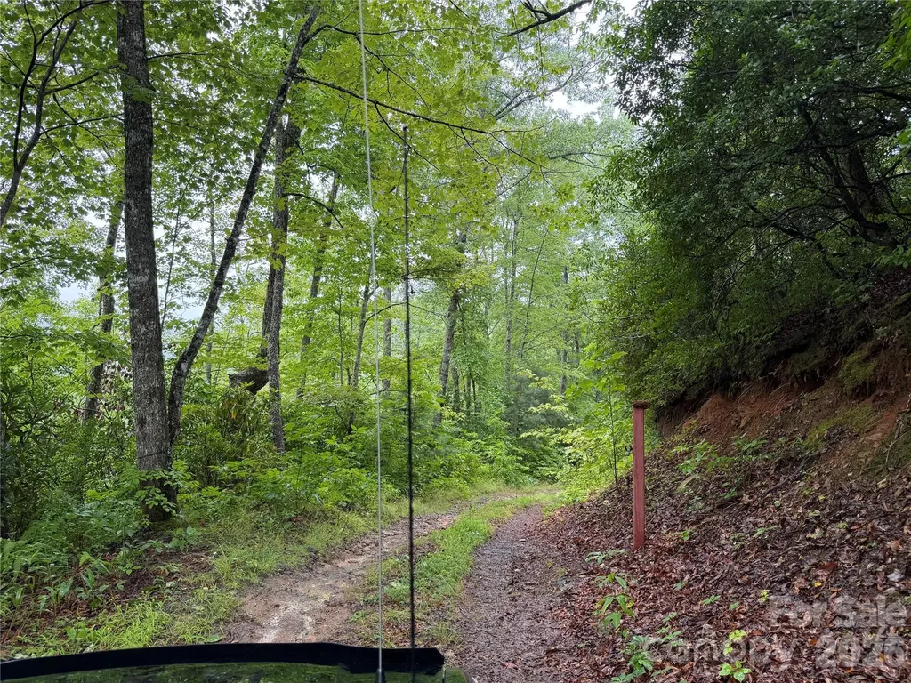 Off Donald Mccall Road Balsam Grove NC 28708