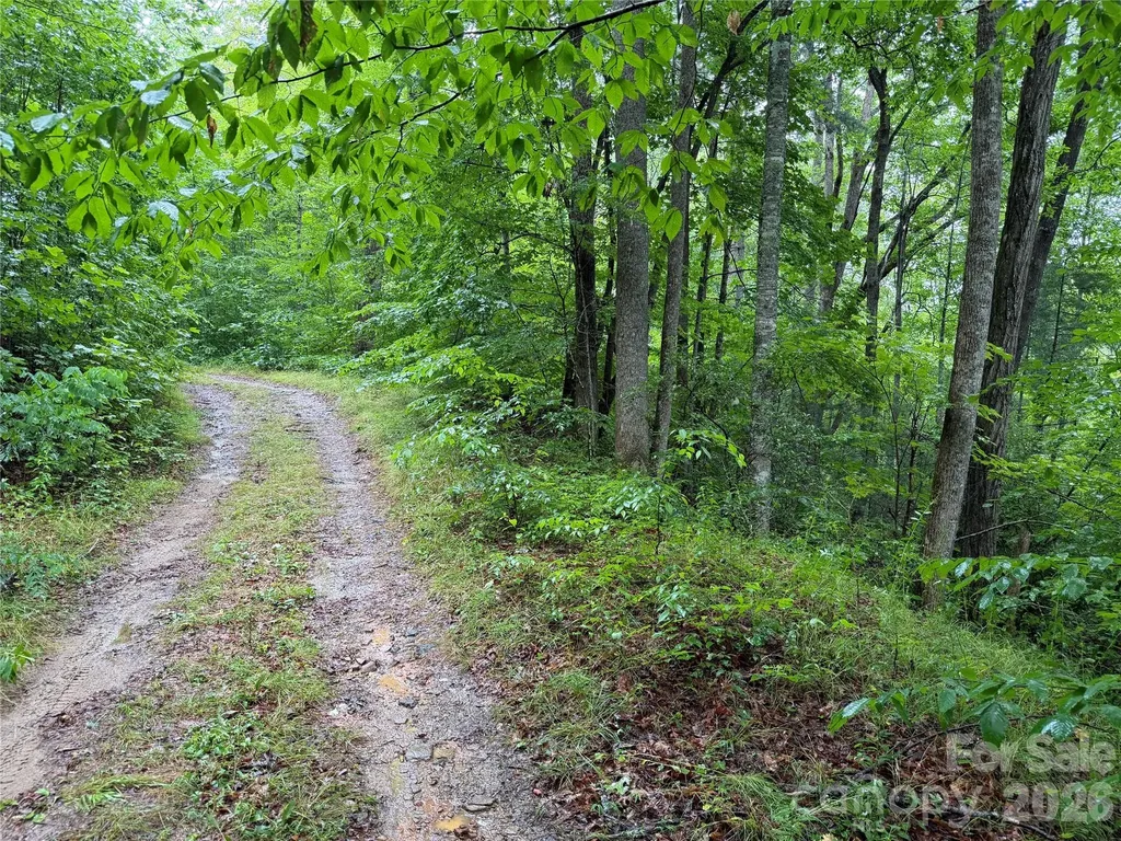 Off Donald Mccall Road Balsam Grove NC 28708