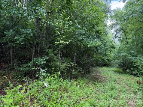 Off Donald Mccall Road Balsam Grove NC 28708